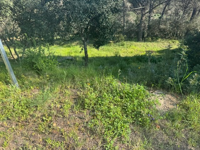 Land plot in Tordera, Barcelona, Spain No. 191403