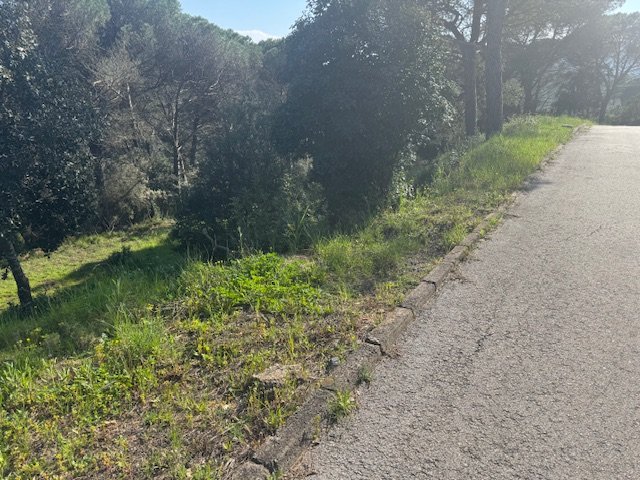 Land plot in Tordera, Barcelona, Spain No. 191403