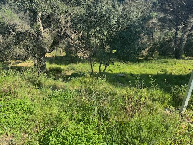 Land plot in Tordera, Barcelona, Spain No. 191403