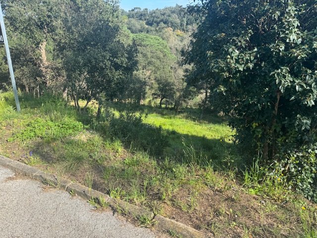 Land plot in Tordera, Barcelona, Spain No. 191403