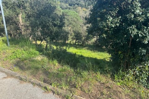 Land plot in Tordera, Barcelona, Spain No. 191403