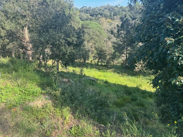 Land plot in Tordera, Barcelona, Spain No. 191403