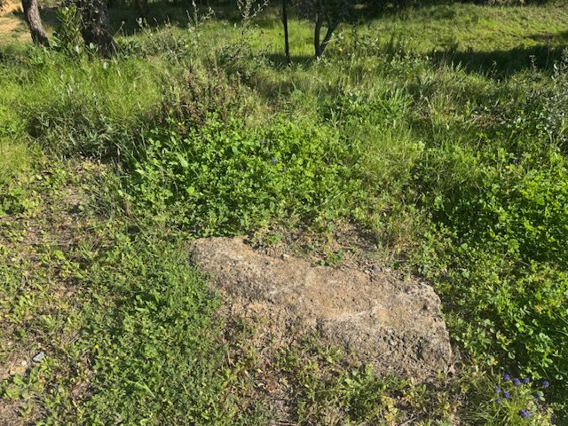 Land plot in Tordera, Barcelona, Spain No. 191403