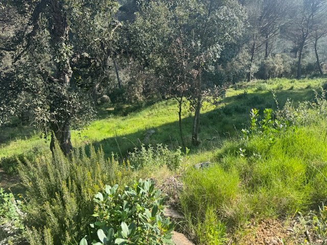 Land plot in Tordera, Barcelona, Spain No. 191403