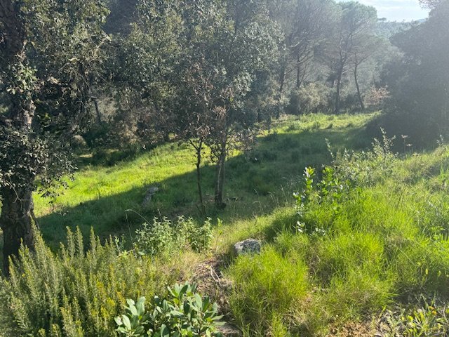 Land plot in Tordera, Barcelona, Spain No. 191403