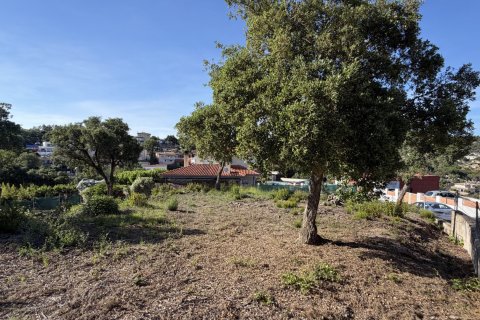 Zemes gabals Lloret de Mar, Girona, Spānijā Nr. 183143