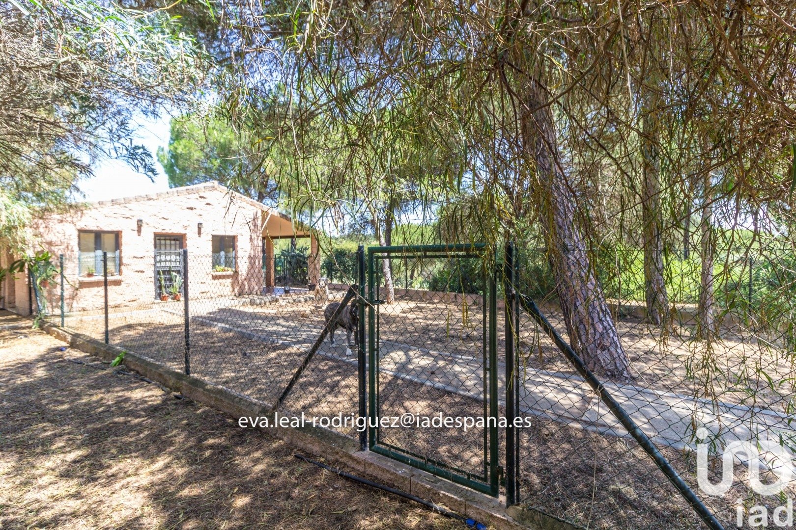 House à Lepe, Huelva, Espagne 8 chambres, 45610 m2 No. 153748