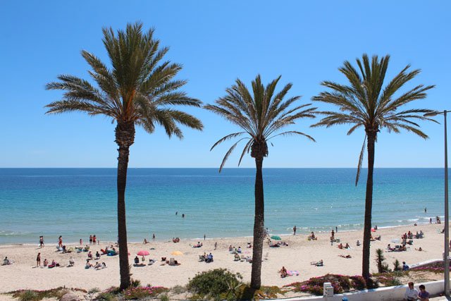 Apartment in Pilar de la Horadada, Alicante, Spain 3 bedrooms,  No. 145403