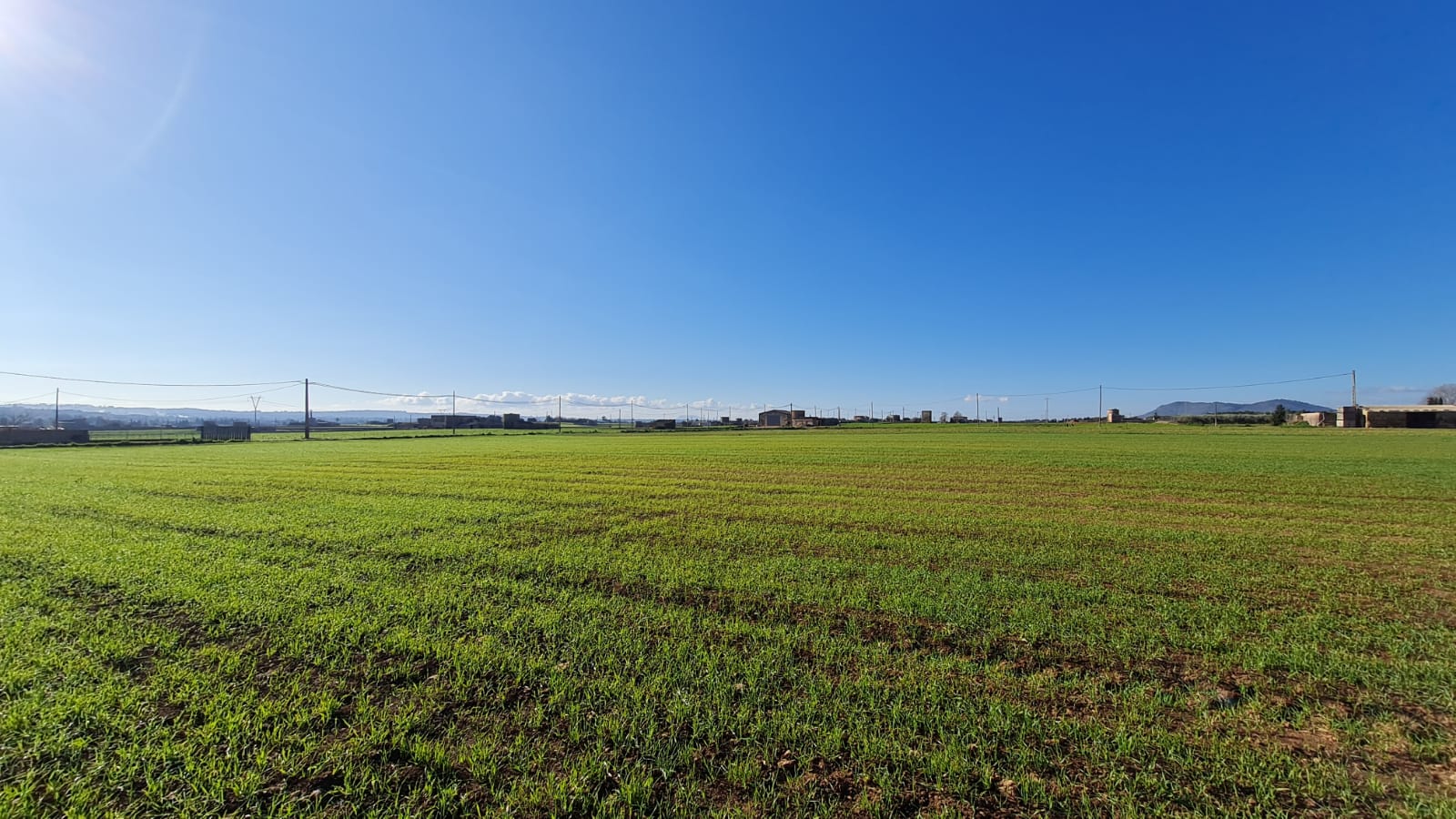 Terreno a Sa Pobla, Mallorca, Spagna 54000 mq. N° 63351