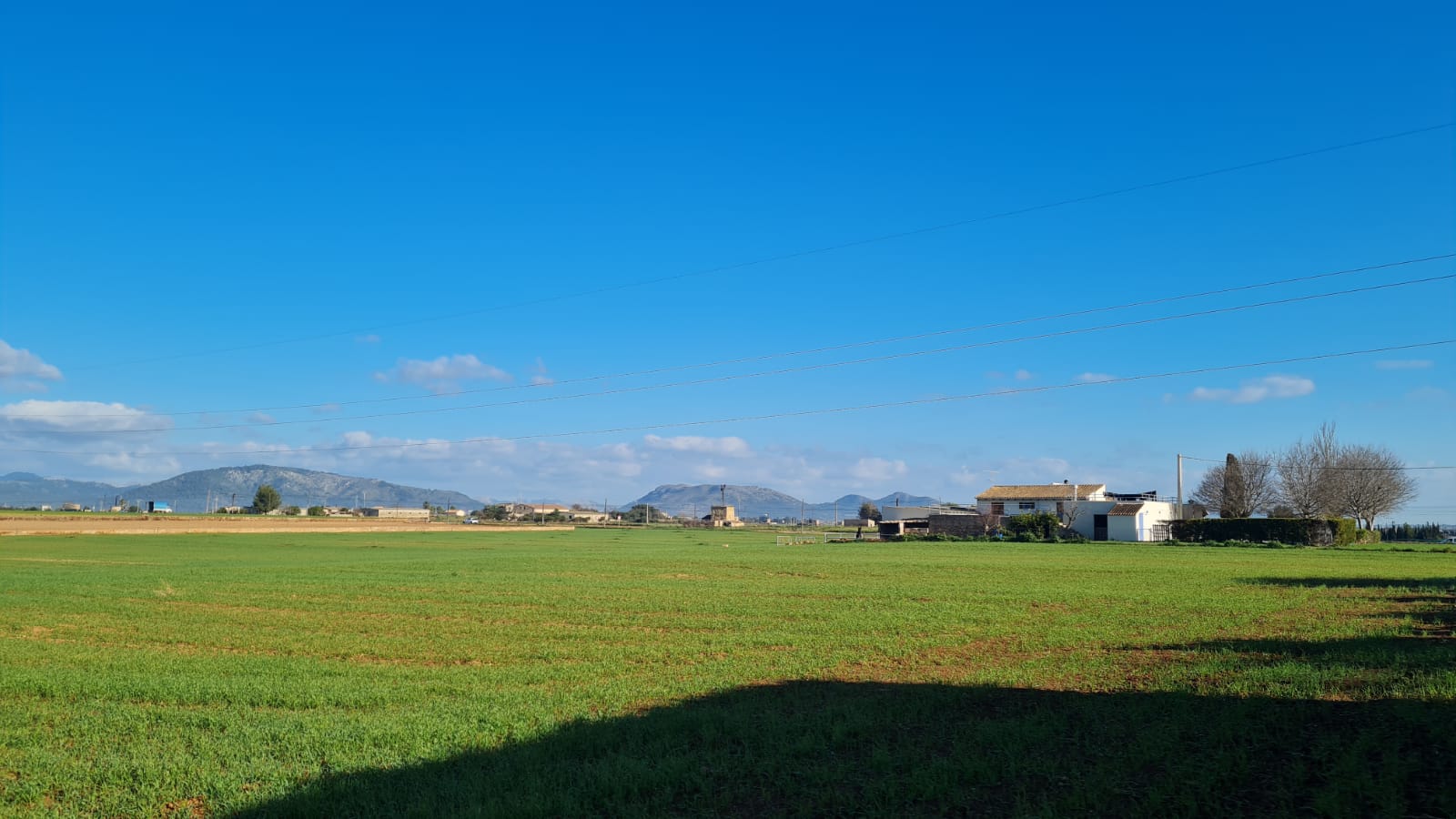 Terreno a Sa Pobla, Mallorca, Spagna 54000 mq. N° 63351