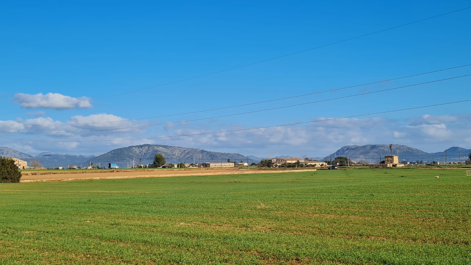 Terreno a Sa Pobla, Mallorca, Spagna 54000 mq. N° 63351