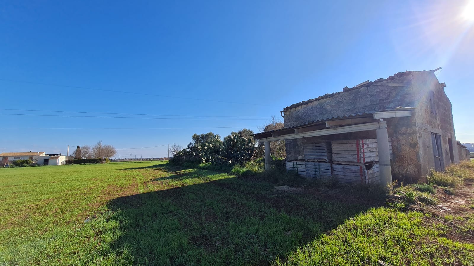 Terreno a Sa Pobla, Mallorca, Spagna 54000 mq. N° 63351