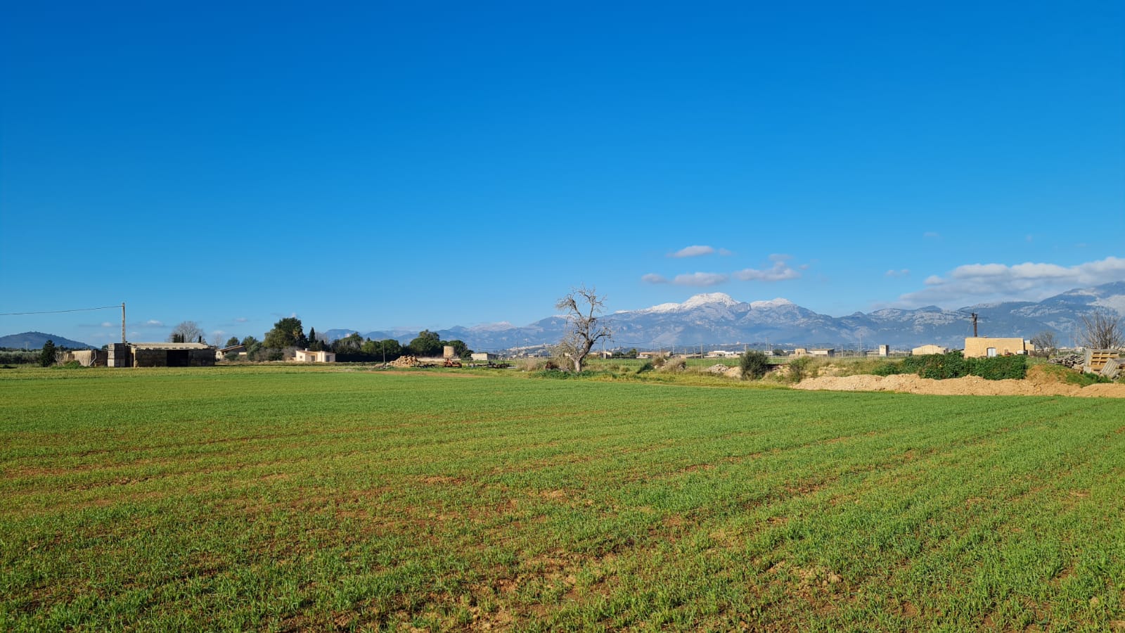 Terreno a Sa Pobla, Mallorca, Spagna 54000 mq. N° 63351