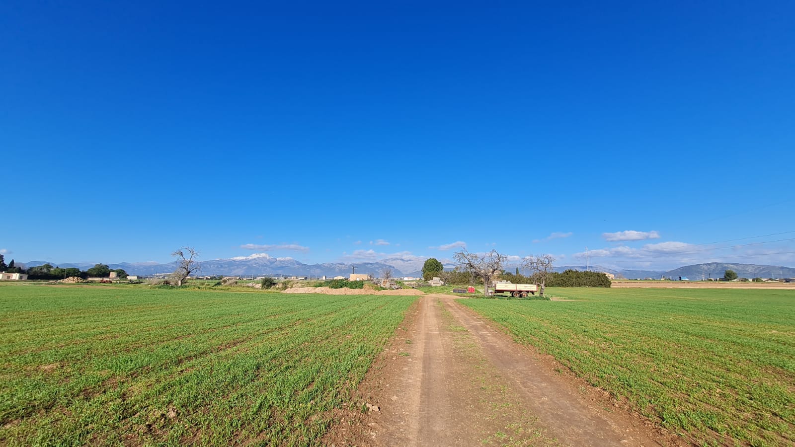 Terreno a Sa Pobla, Mallorca, Spagna 54000 mq. N° 63351