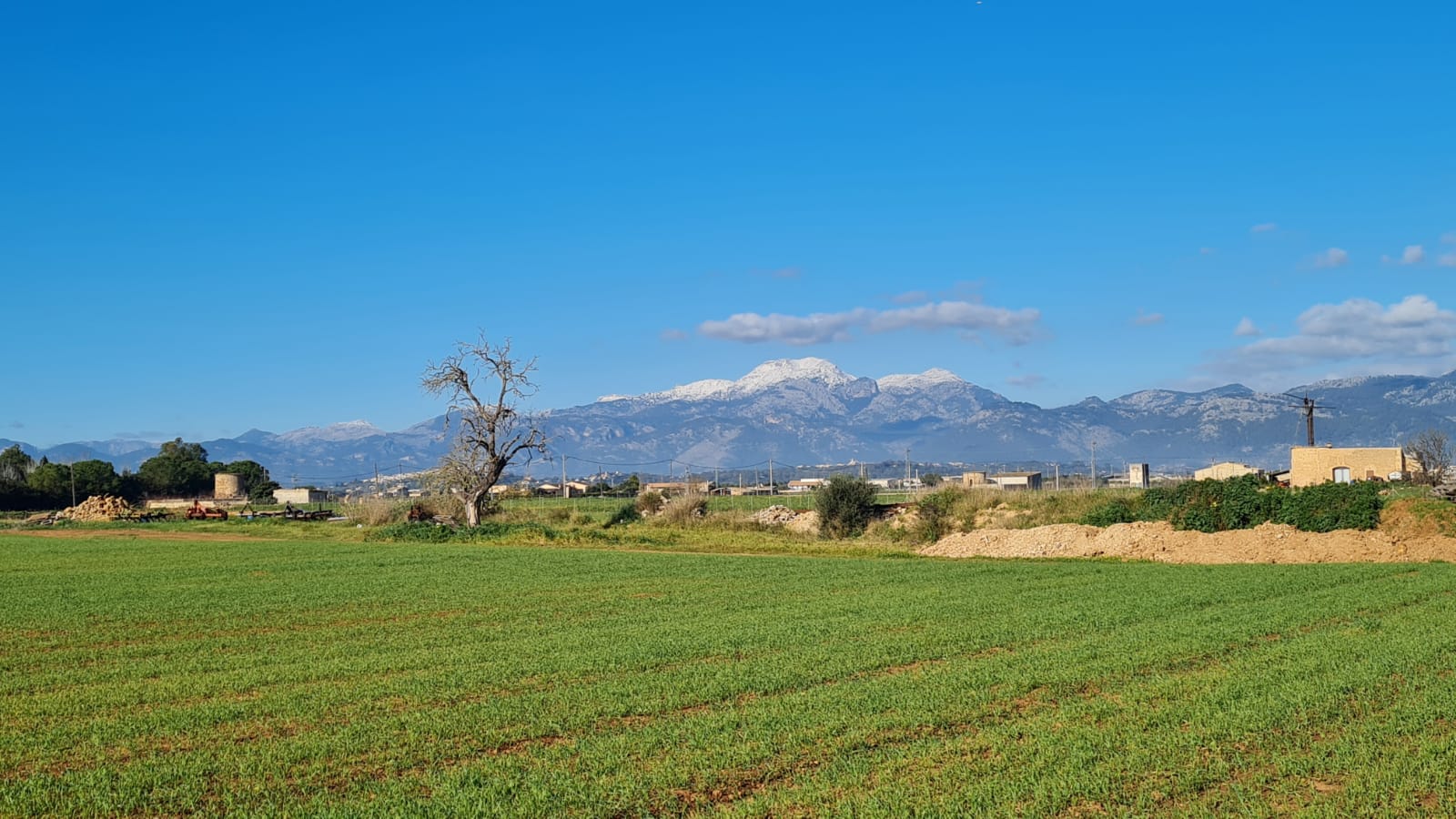 Terreno a Sa Pobla, Mallorca, Spagna 54000 mq. N° 63351