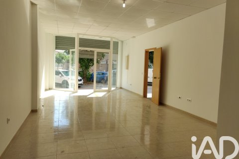 Коммерческая недвижимость в Пинеда-де-Мар, Барселона, Испания 322м2 №173406