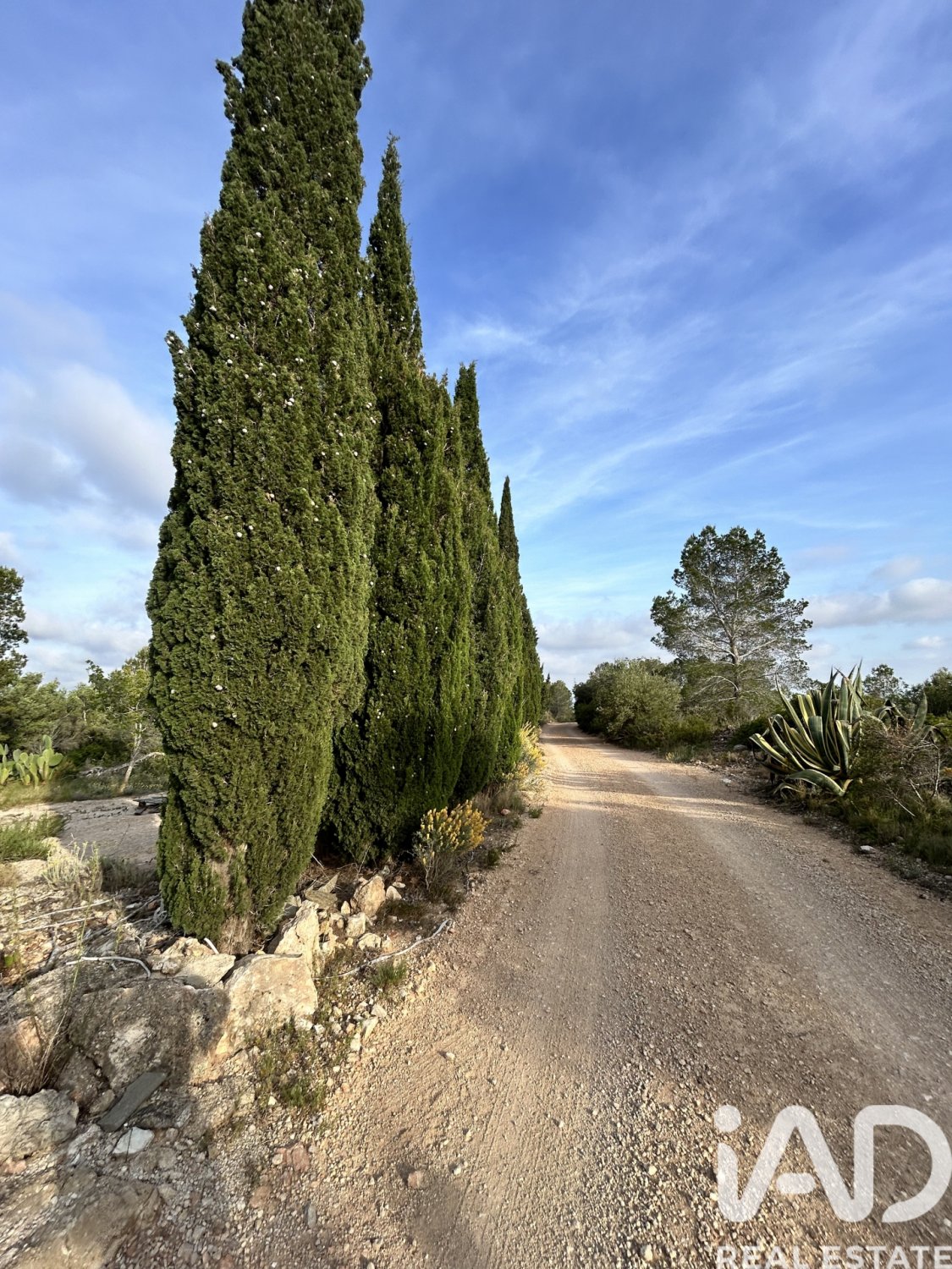 Tontti Tortosa, Tarragona, Espanja 14967 m2 No. 184803
