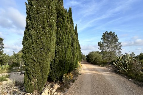 Land plot in Tortosa, Tarragona, Spain 14967 sq.m. No. 184803