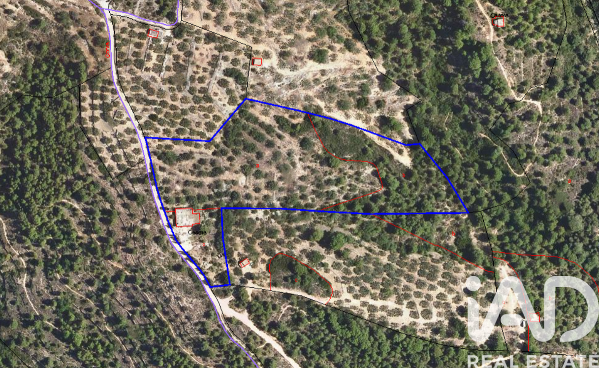 Tontti Tortosa, Tarragona, Espanja 14967 m2 No. 184803