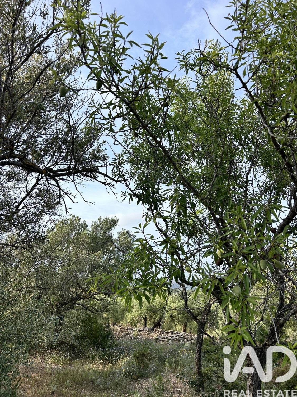 Tontti Tortosa, Tarragona, Espanja 14967 m2 No. 184803