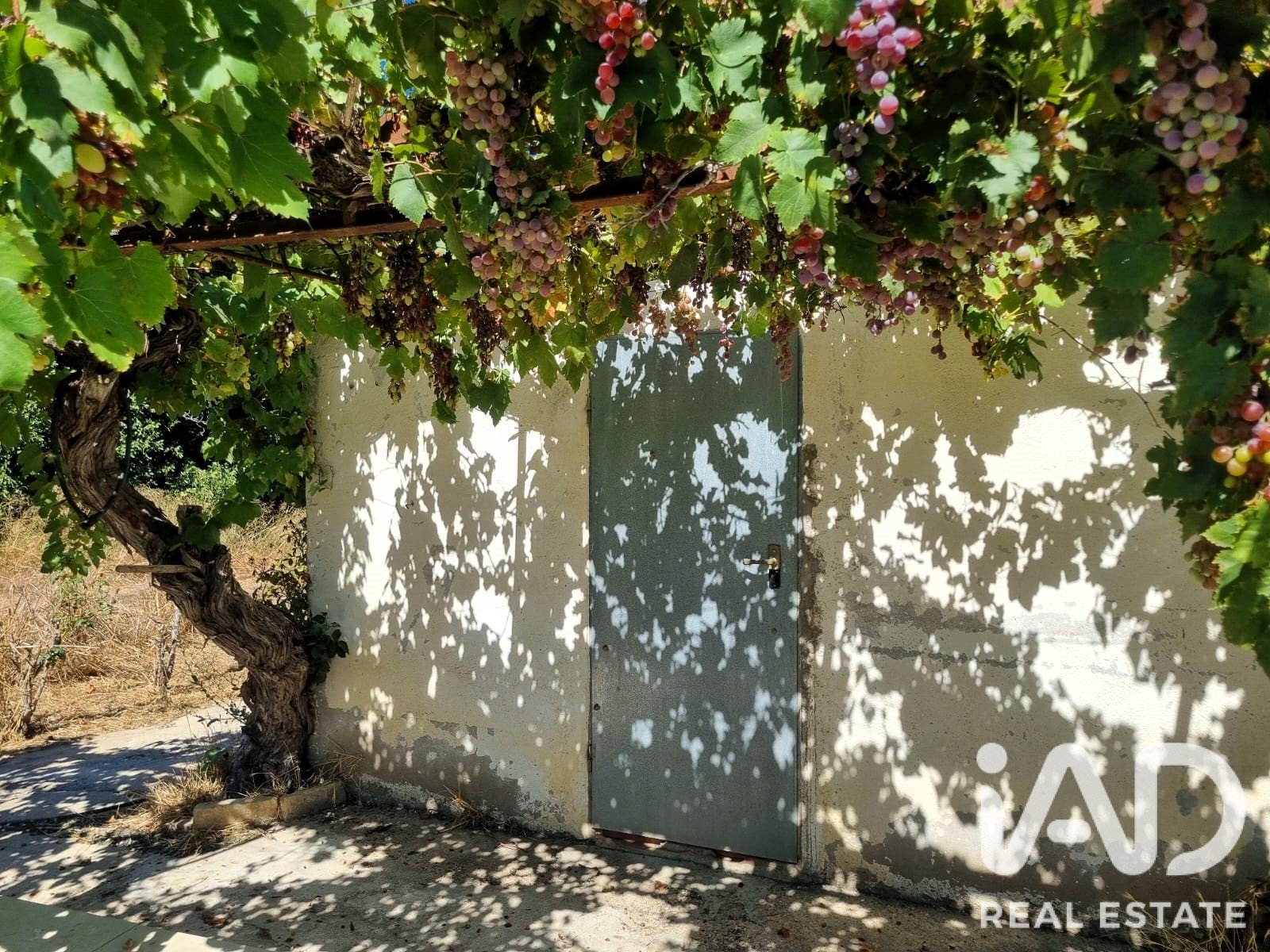 Land in Ginestar, Tarragona, Spanien 940 m2 Nr. 195041