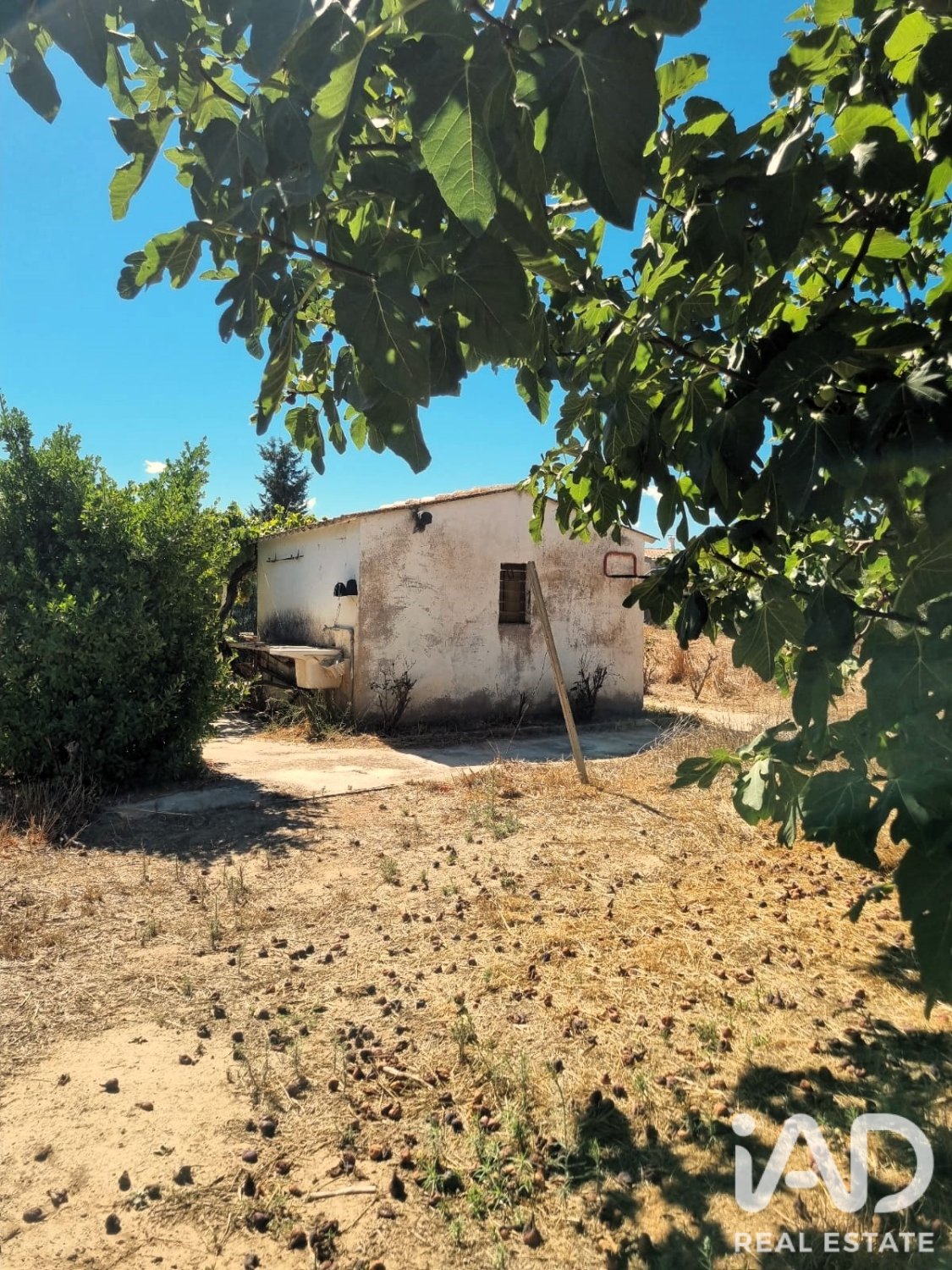 Land in Ginestar, Tarragona, Spanien 940 m2 Nr. 195041