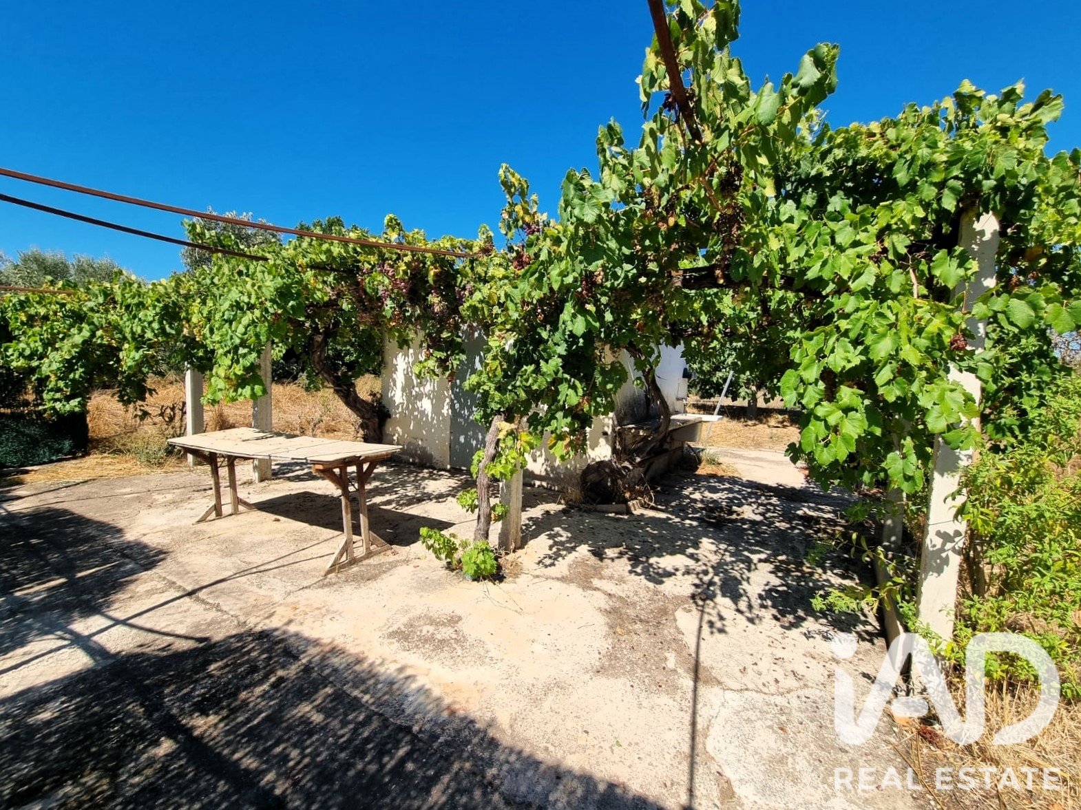 Land in Ginestar, Tarragona, Spanien 940 m2 Nr. 195041