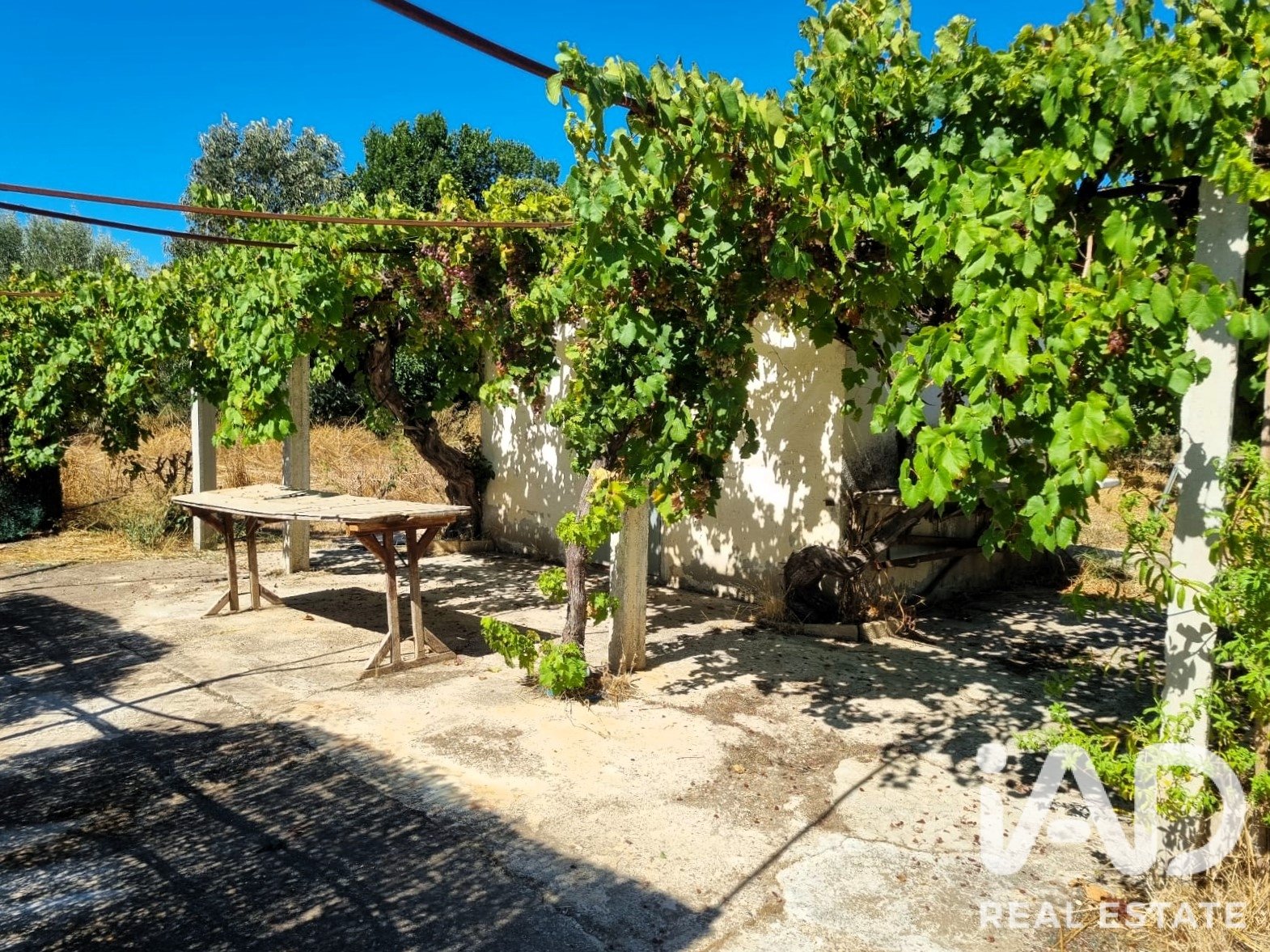 Land in Ginestar, Tarragona, Spanien 940 m2 Nr. 195041