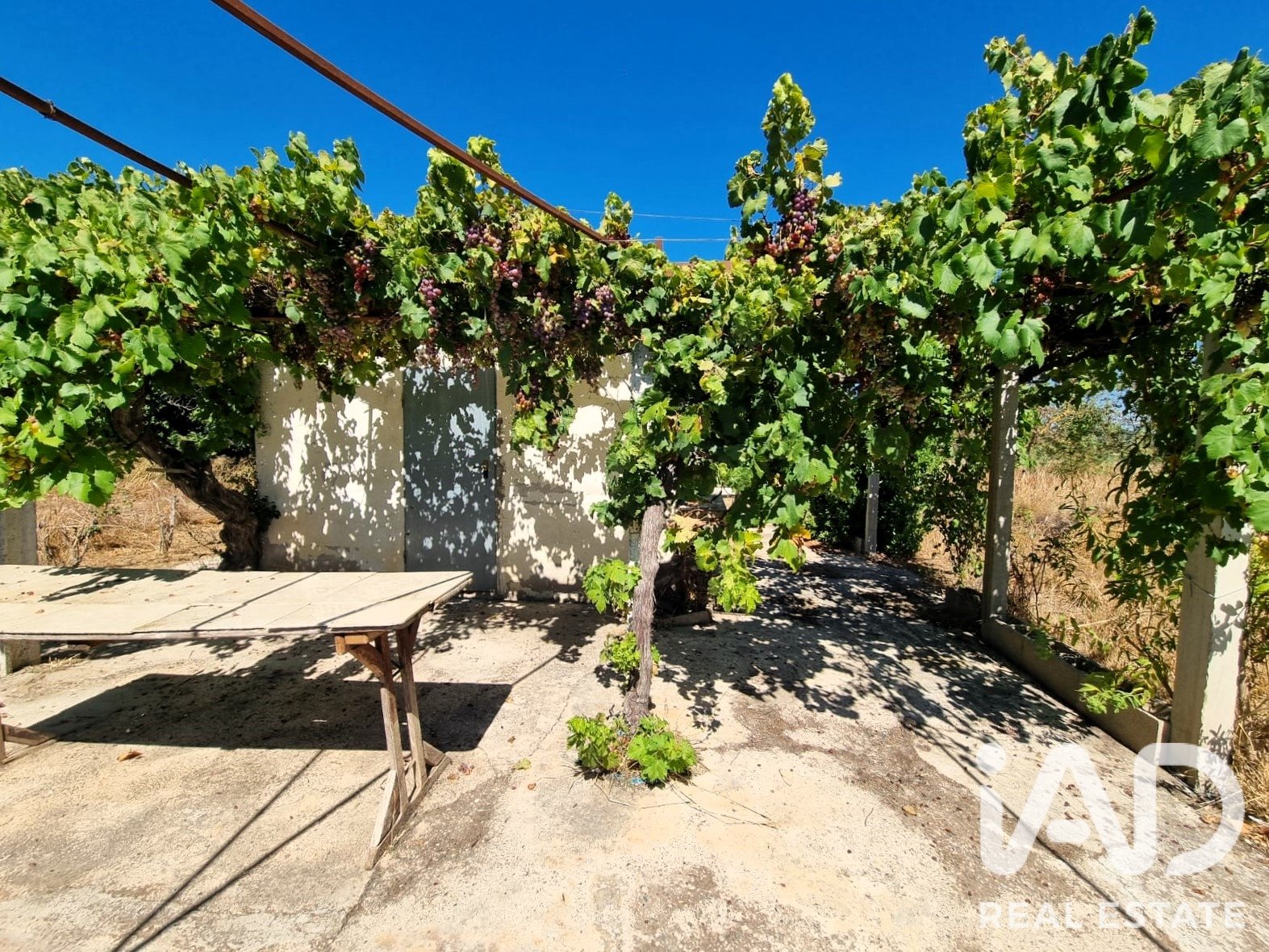 Land in Ginestar, Tarragona, Spanien 940 m2 Nr. 195041