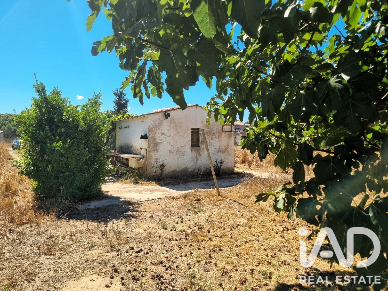 Land in Ginestar, Tarragona, Spanien 940 m2 Nr. 195041