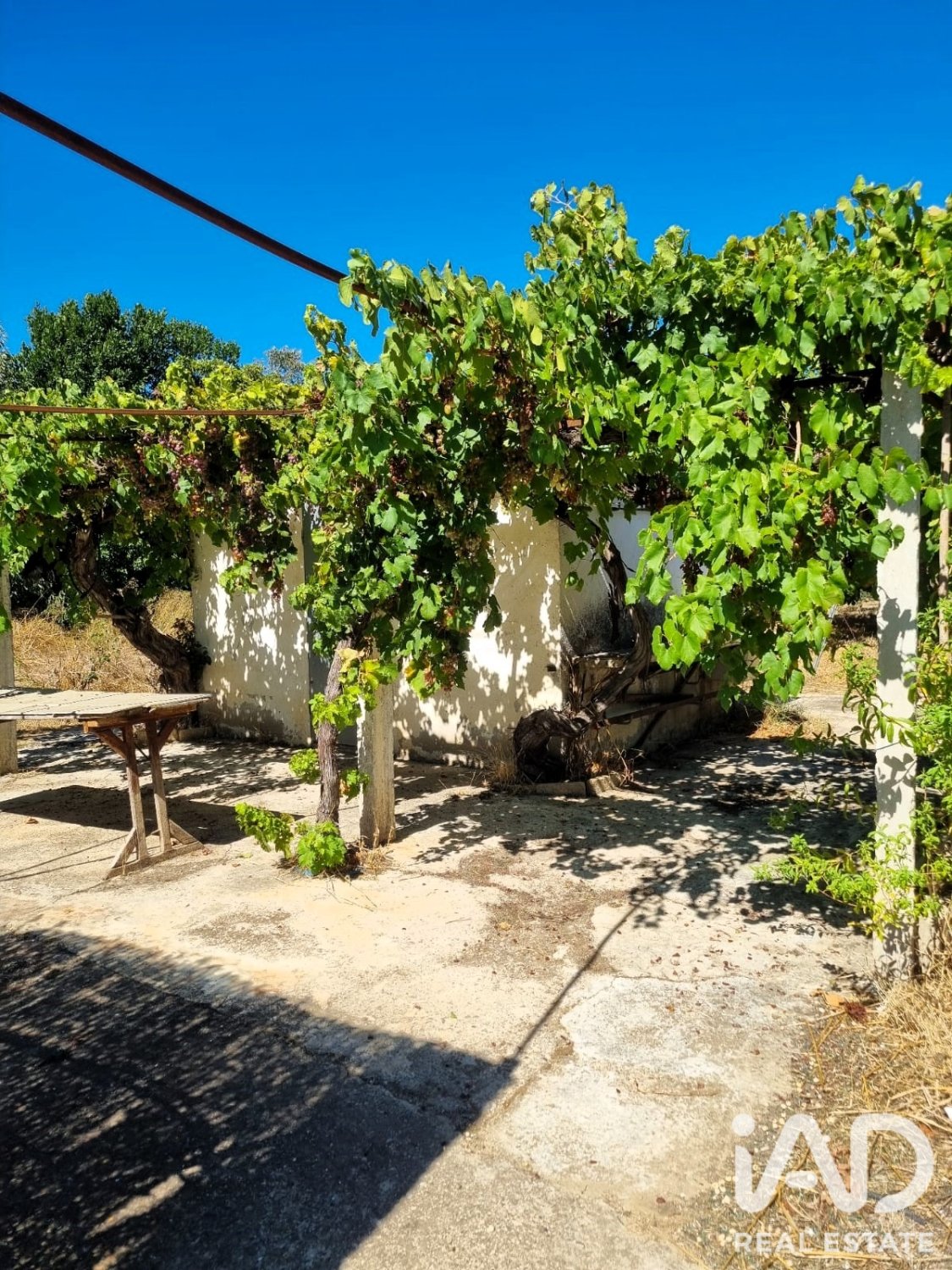 Land in Ginestar, Tarragona, Spanien 940 m2 Nr. 195041