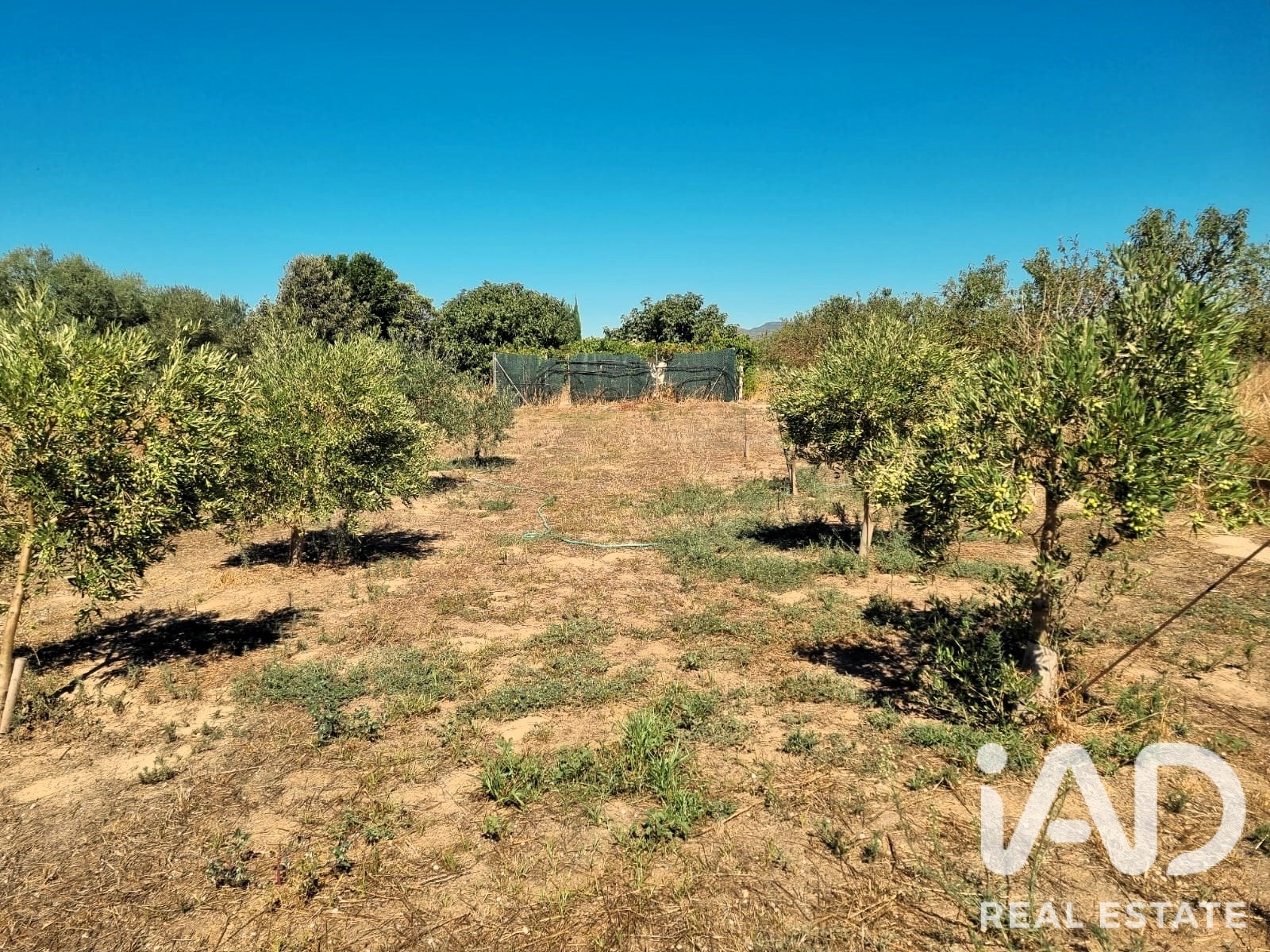 Land in Ginestar, Tarragona, Spanien 940 m2 Nr. 195041