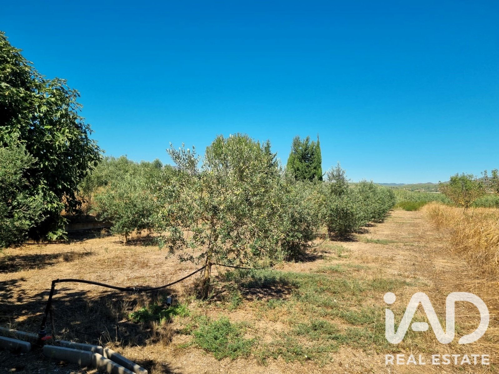 Land in Ginestar, Tarragona, Spanien 940 m2 Nr. 195041