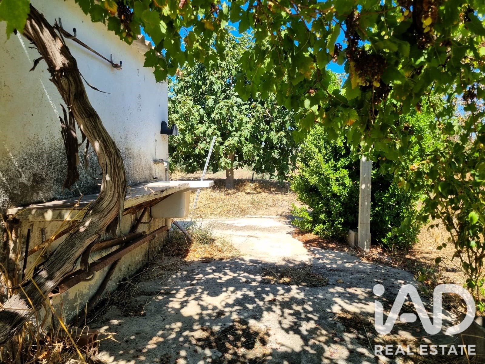 Land in Ginestar, Tarragona, Spanien 940 m2 Nr. 195041