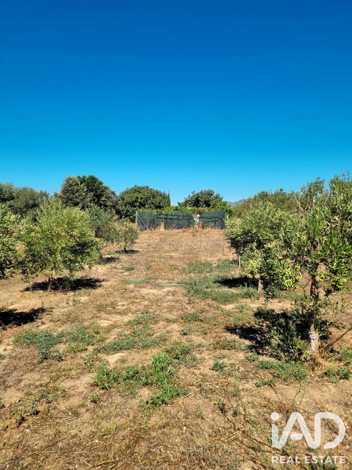 Land in Ginestar, Tarragona, Spanien 940 m2 Nr. 195041