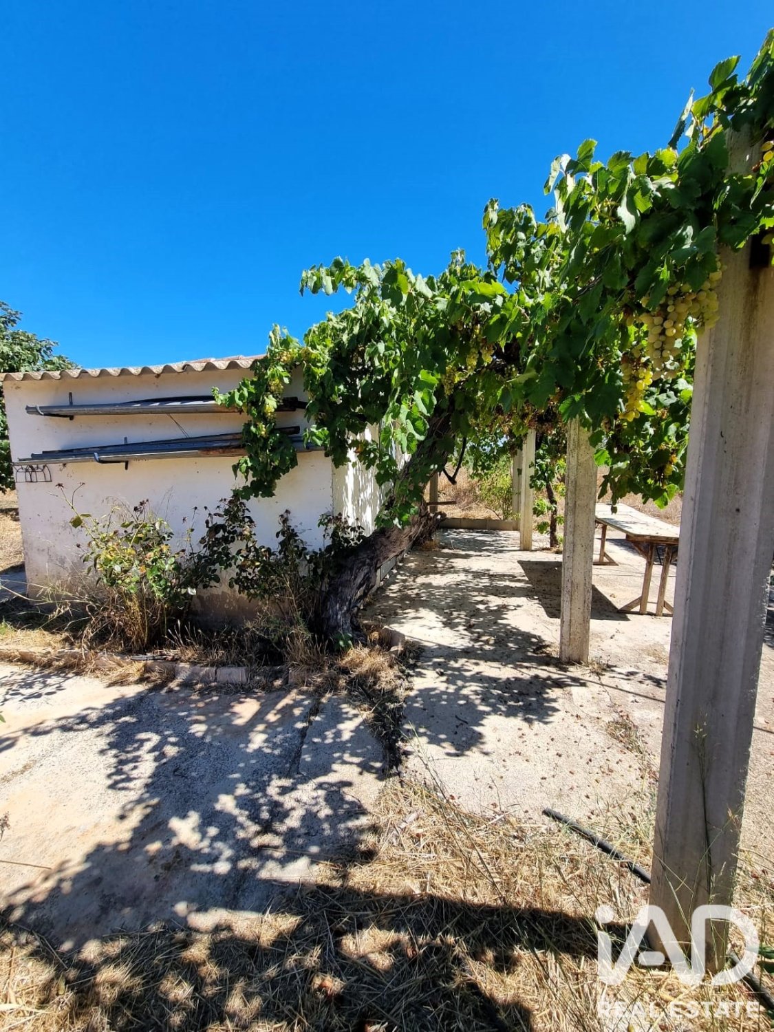 Land in Ginestar, Tarragona, Spanien 940 m2 Nr. 195041