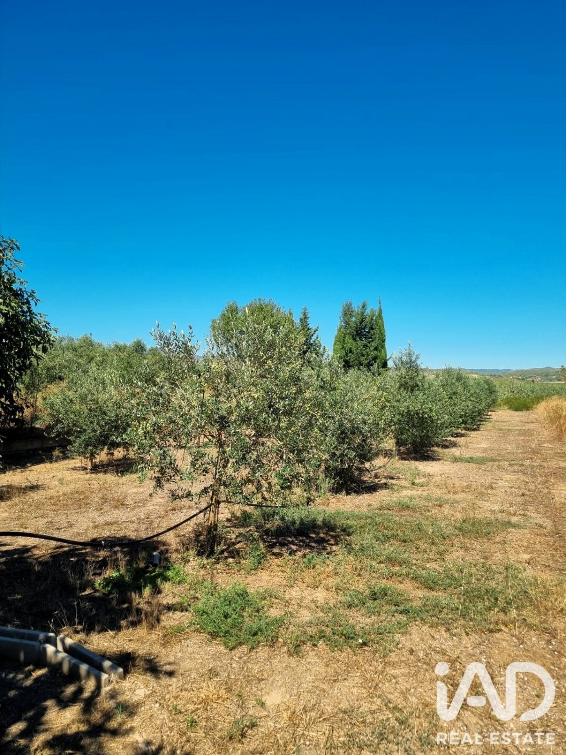 Land in Ginestar, Tarragona, Spanien 940 m2 Nr. 195041