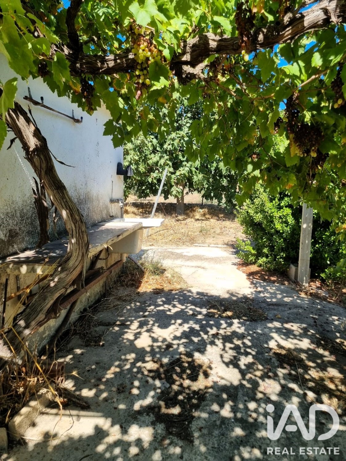 Land in Ginestar, Tarragona, Spanien 940 m2 Nr. 195041