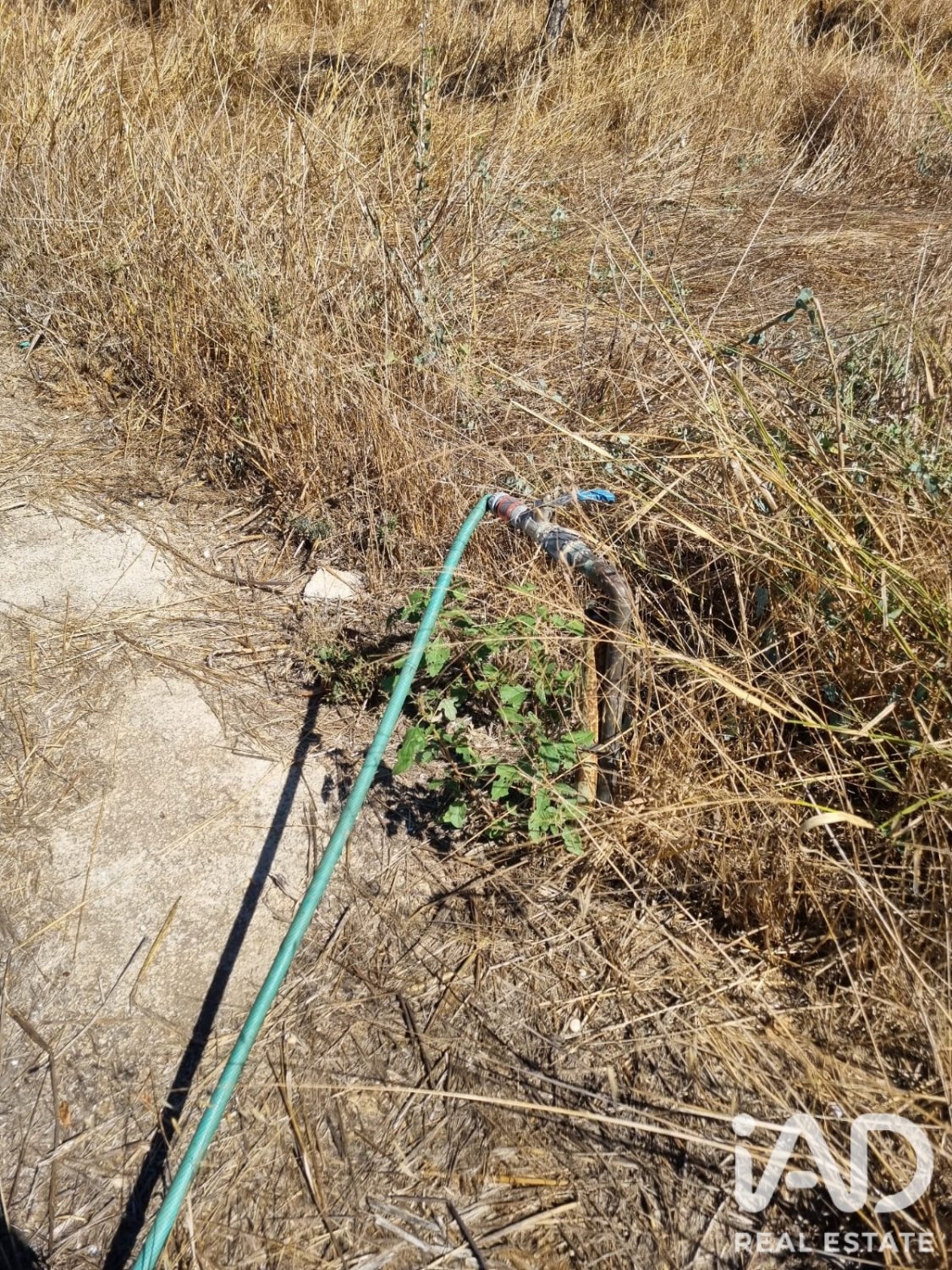 Land in Ginestar, Tarragona, Spanien 940 m2 Nr. 195041