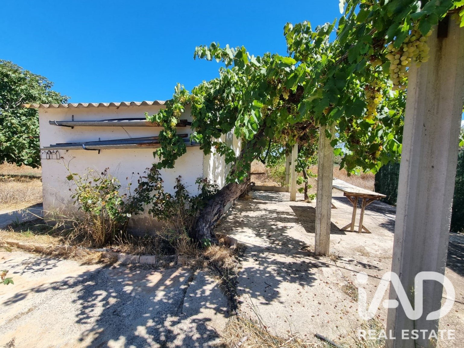 Land in Ginestar, Tarragona, Spanien 940 m2 Nr. 195041