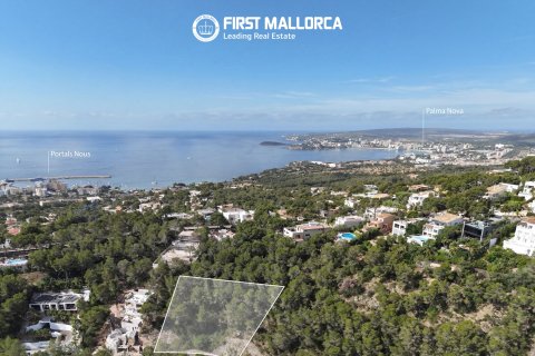 Land plot in Mallorca, Spain 1739 sq.m. No. 161663