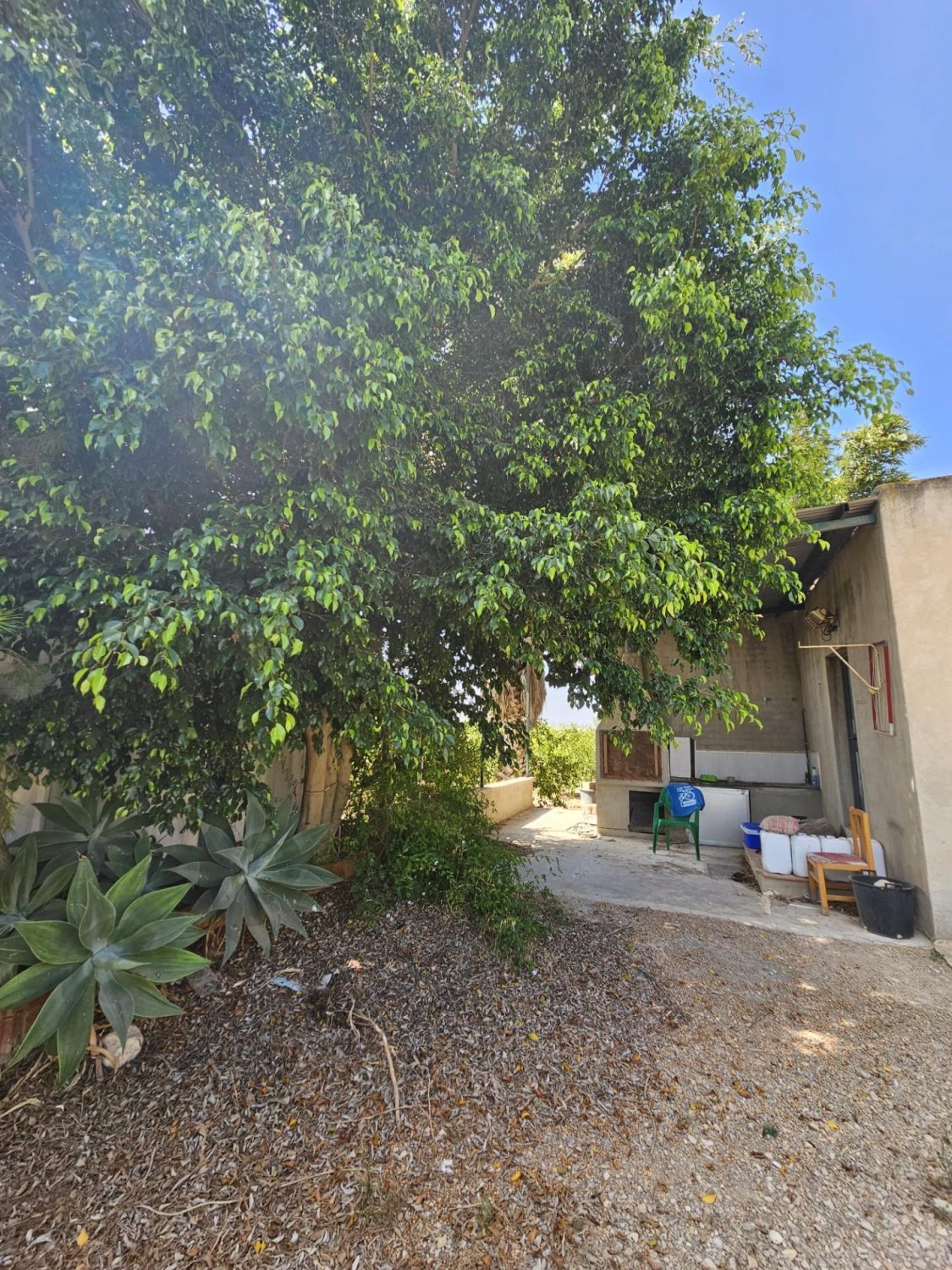 Terreno a Dolores, Alicante, Spagna 40 mq. N° 183632