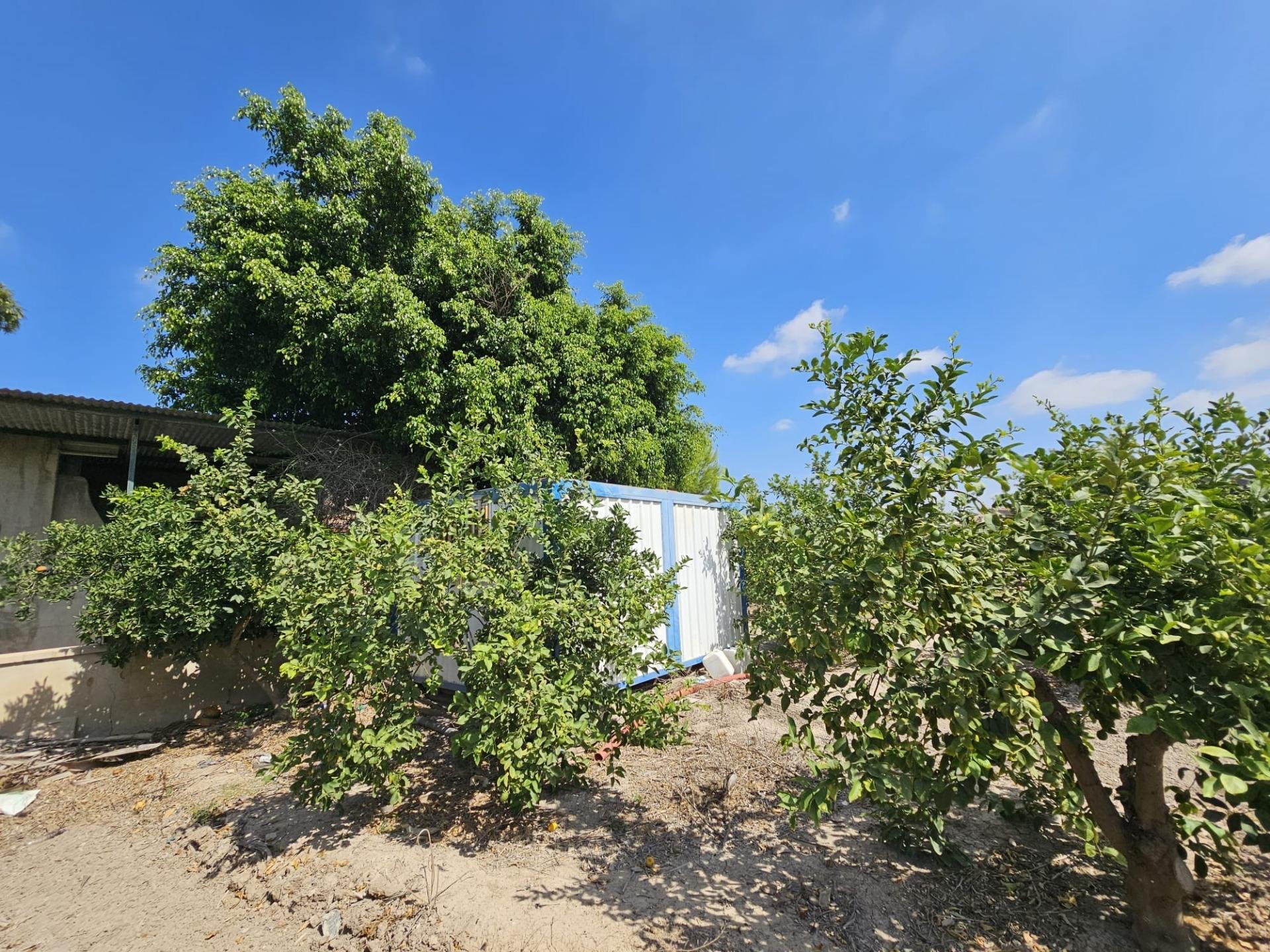 Terreno a Dolores, Alicante, Spagna 40 mq. N° 183632