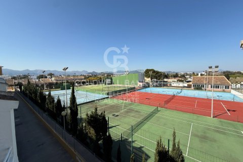 Komerciāls īpašums Oliva, Valencia, Spānijā 5714 m2 Nr. 178620