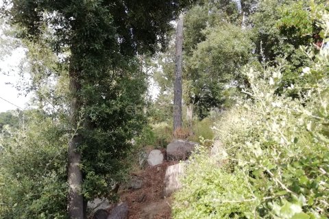 Zemes gabals Dosrius, Barcelona, Spānijā Nr. 191606