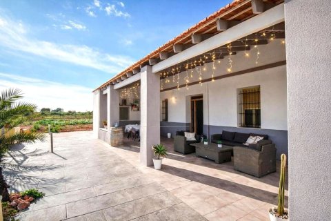 Villa Elche, Alicante, Spānijā 4 istabas, 326 m2 Nr. 180746