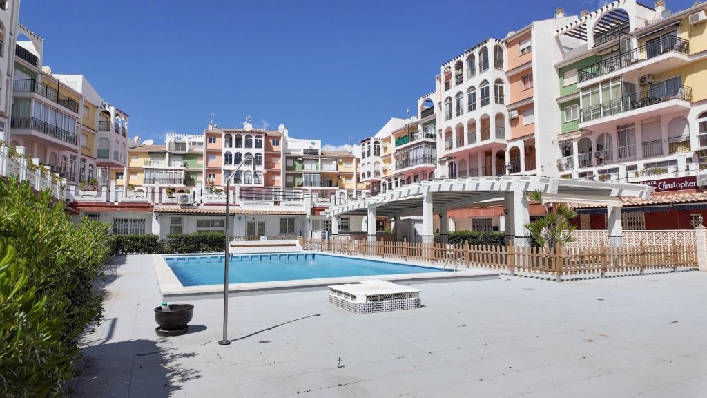 Apartment à Torrevieja, Alicante, Espagne 1 chambre,  No. 183579