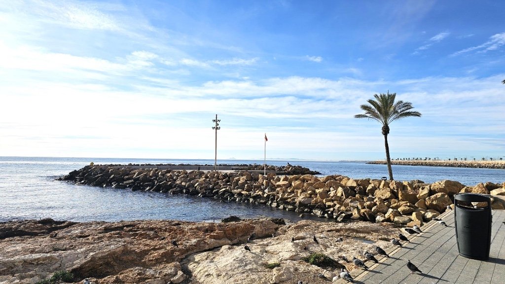Apartment à Torrevieja, Alicante, Espagne 1 chambre, 50 m2 No. 183578