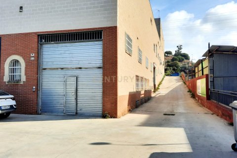 Commercial property in Mataro, Barcelona, Spain 1284 sq.m. No. 196049