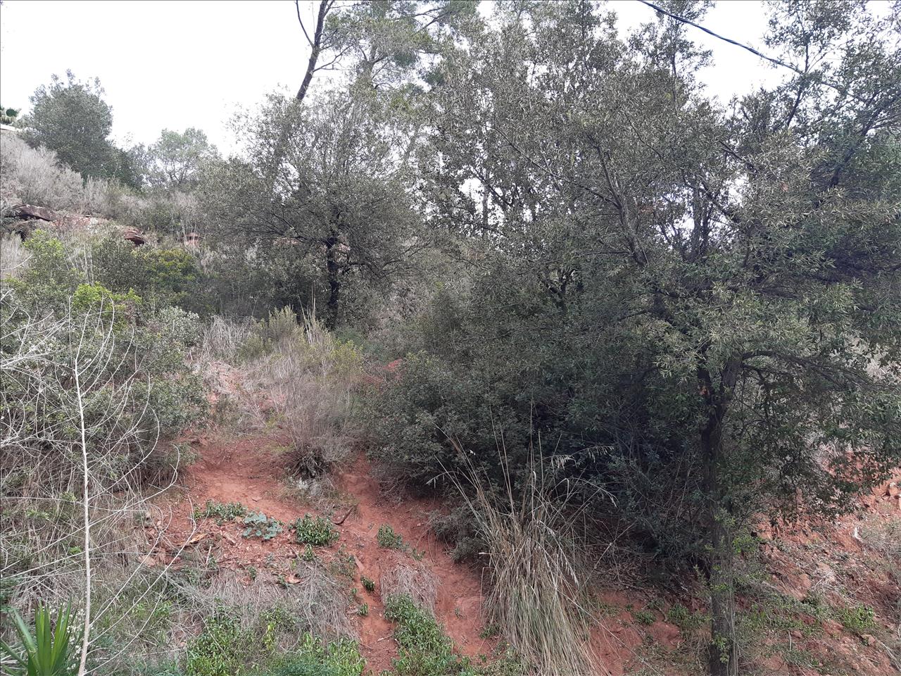 Zemes gabals Torrelles de Llobregat, Barcelona, Spānijā Nr. 196047